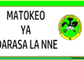 Matokeo ya Darasa la Nne 2025/2026 (NECTA SFNA Results)